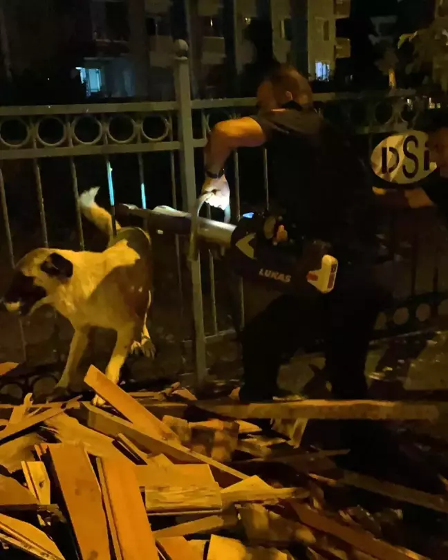 Demir korkuluklara sıkışan köpek itfaiye tarafından kurtarıldı