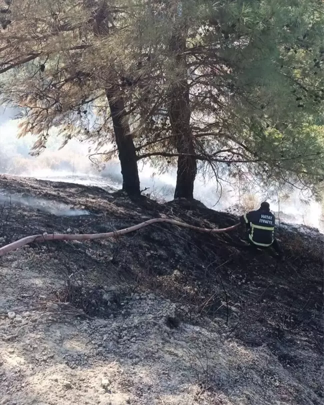 Antakya'da Otluk Alanda Yangın Çıktı, İtfaiye Ekipleri Müdahale Etti