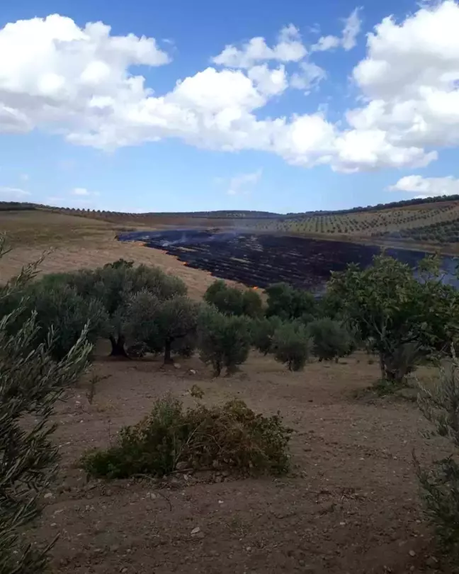 Hatay'da Anız Yangını Kontrol Altına Alındı