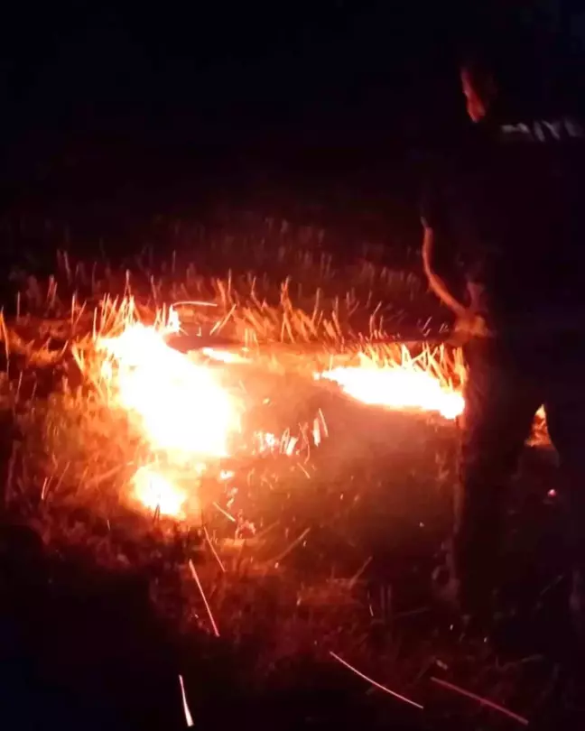 Hatay'da Anız Yangını Söndürüldü