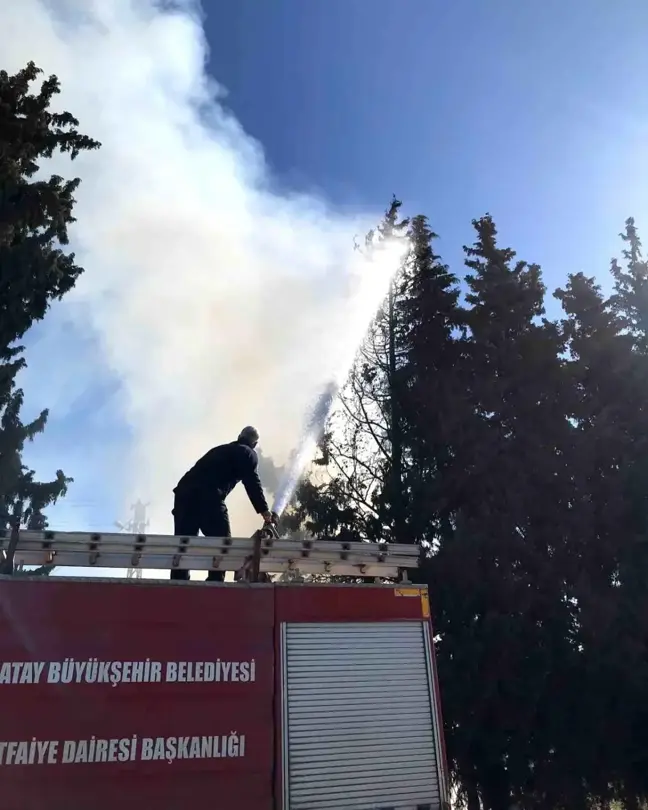 Hatay'da Çamlık Alanda Yangın Kontrol Altına Alındı