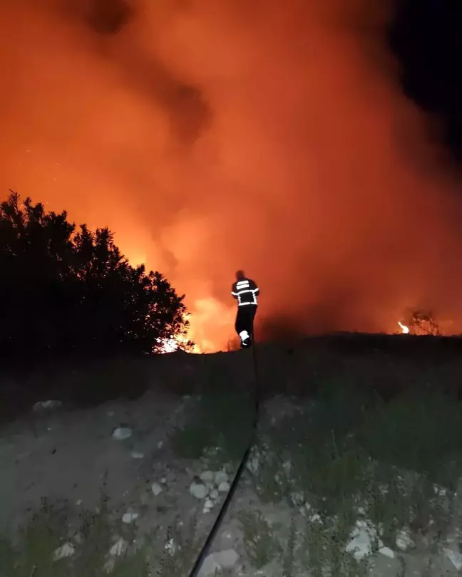 Hatay'da Orman Yangını Kısa Sürede Söndürüldü