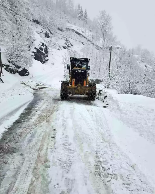 Giresun'da Kar Yağışı 432 Köy Yolunu Kapattı