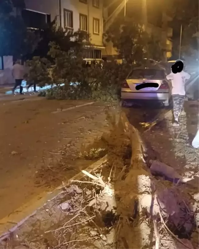 Bursa'da aşırı hızla giden otomobil refüje çarptı, 2 kişi yaralandı