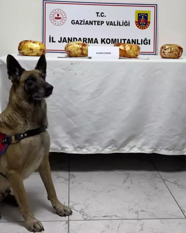 Gaziantep'te Yolcu Otobüsünde 3 Kilo Esrar Ele Geçirildi