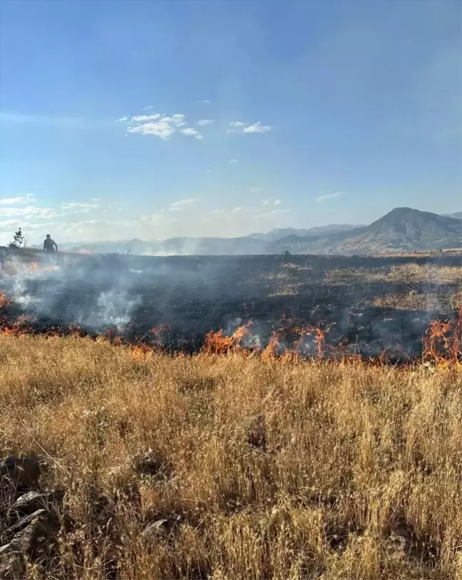 Tunceli Nazımiye'de Orman Yangını