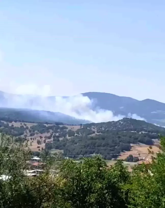 Bursa Orhaneli'nde Orman Yangını