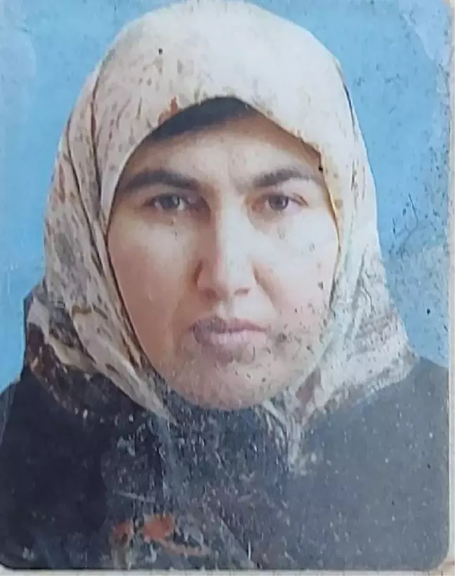 Çanakkale'de kayıp kadın bulundu; yolunu kaybedince zeytinlikte uyumuş