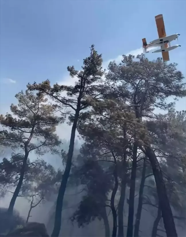 Çanakkale'deki Orman Yangını Kontrol Altına Alındı