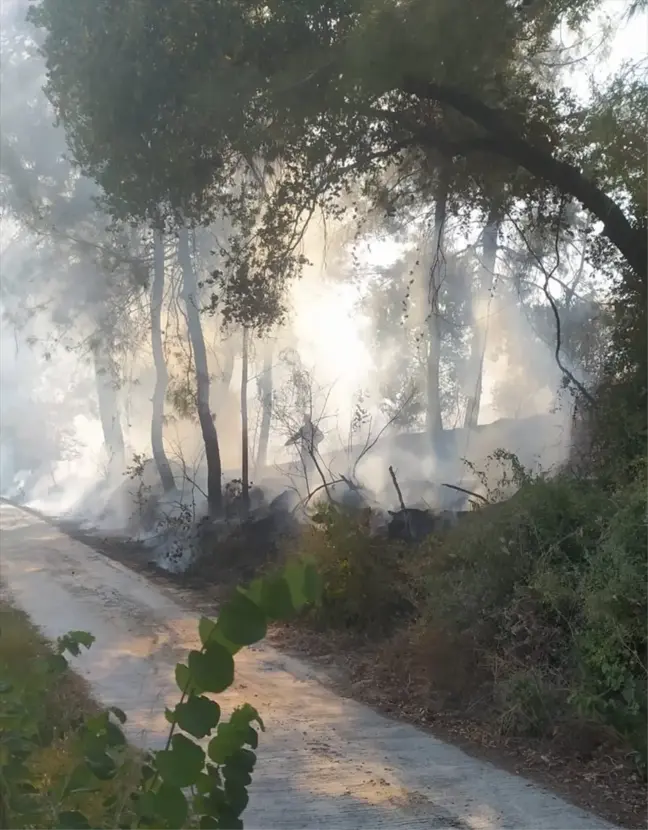 Osmaniye Kadirli'de Otluk Alanda Yangın Çıktı