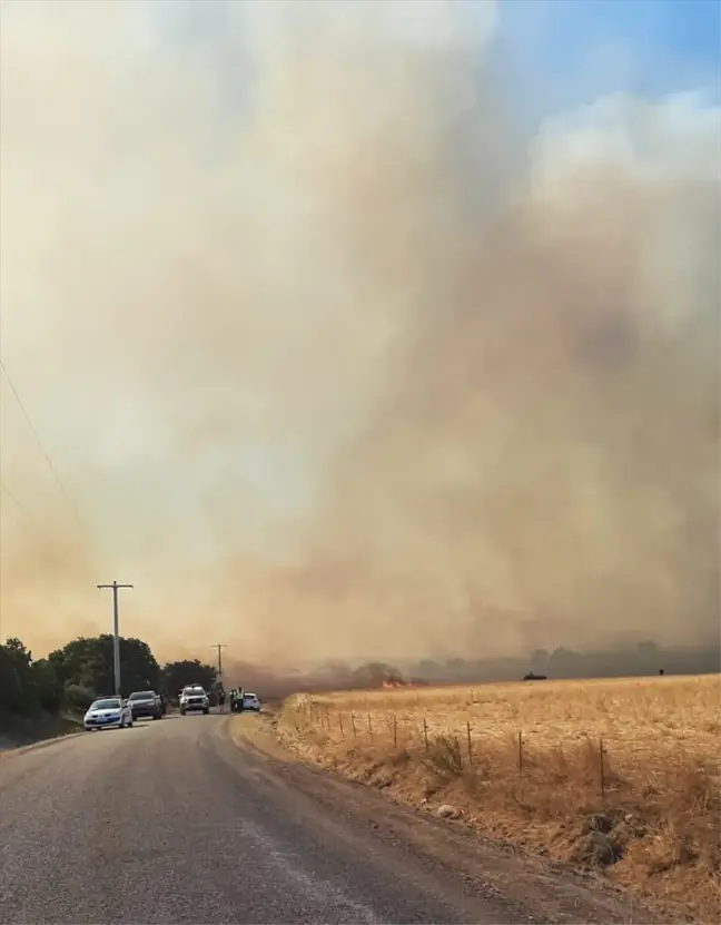 Çanakkale'nin Ezine ilçesinde tarım arazisinde çıkan yangın söndürülmeye çalışılıyor