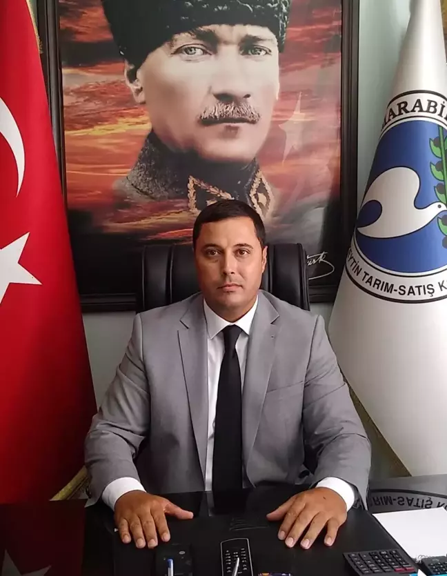 Zeytinde rekolte beyan alımları sürüyor