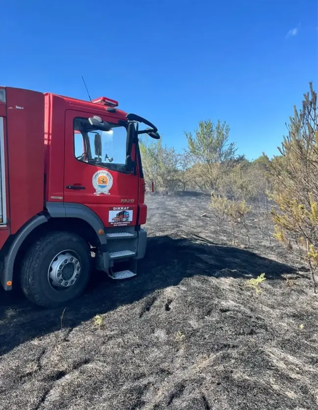 Samsun'un Ladik ilçesinde orman yangını söndürüldü