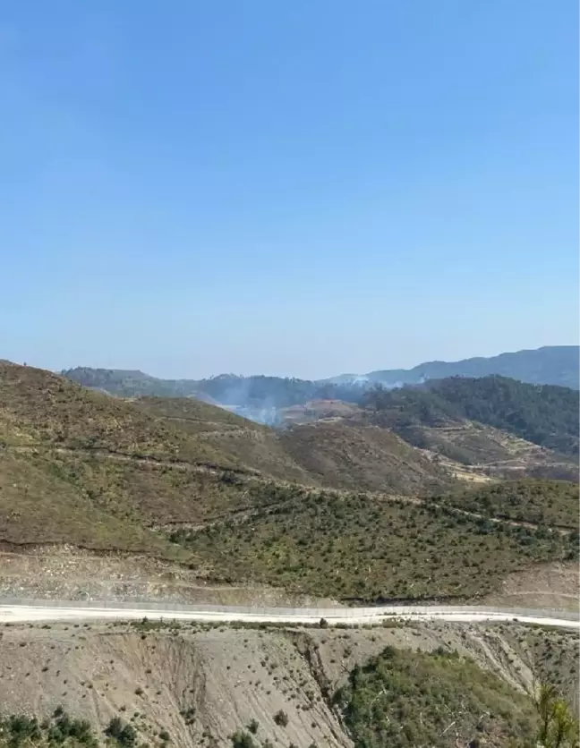 Hatay'da, Suriye'deki orman yangını tedbiri