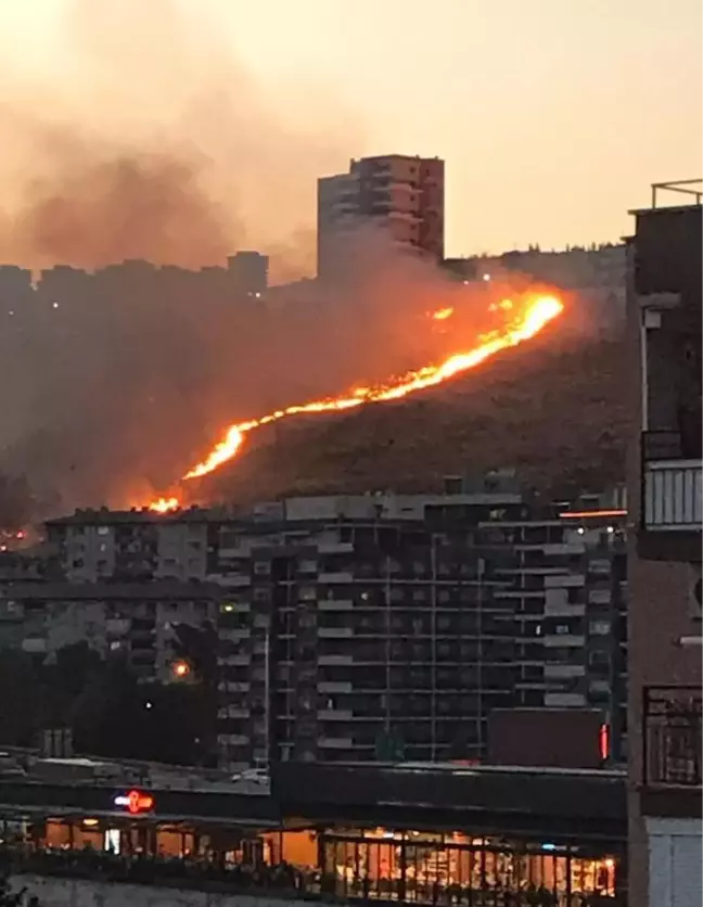 Otluk alanda çıkan yangın söndürüldü