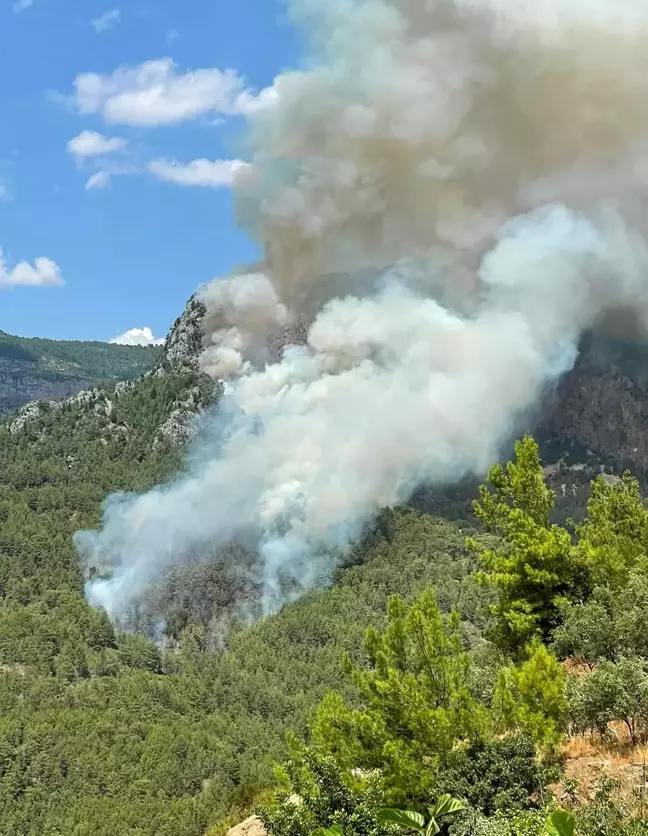 Alanya'da biri orman 2 ayrı yerde çıkan yangın söndürüldü