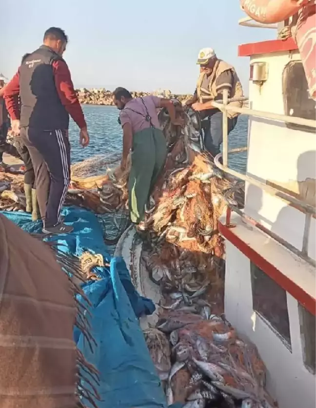 ÇANAKKALELİ BALIKÇI, 15 BİN TANE LÜFER YAKALADI