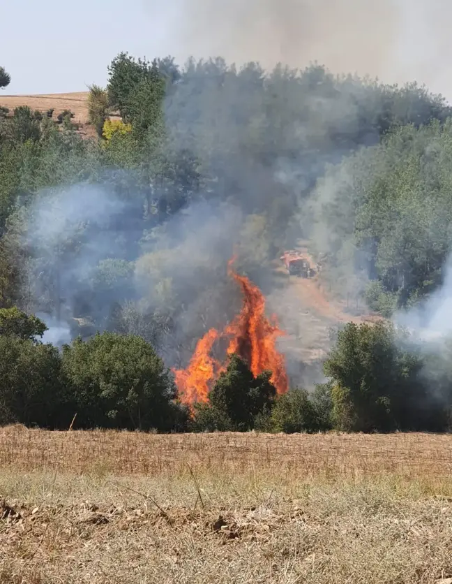 Son dakika! Osmaniye'de çıkan orman yangını kontrol altına alındı