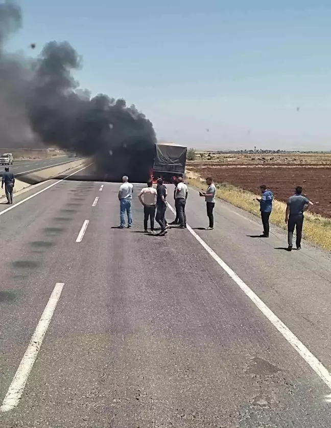 Şırnak'ta seyir halindeki TIR alevlere teslim oldu