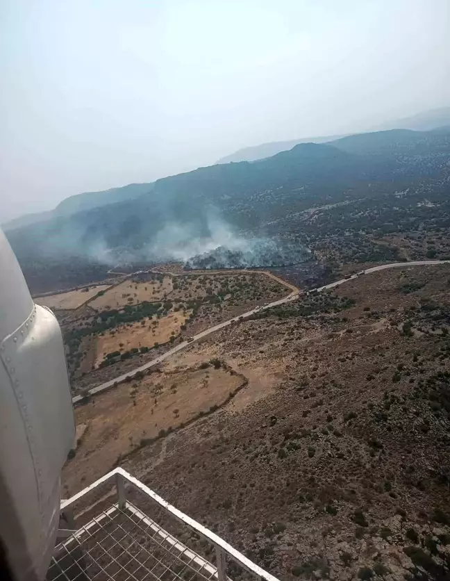 İzmir Aliağa'da çıkan orman yangını kontrol altına alındı