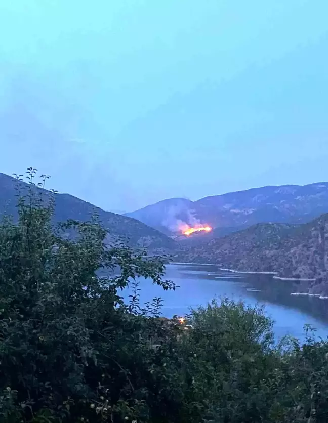 Çorum'un Laçin ilçesinde ormanlık alanda yangın çıktı