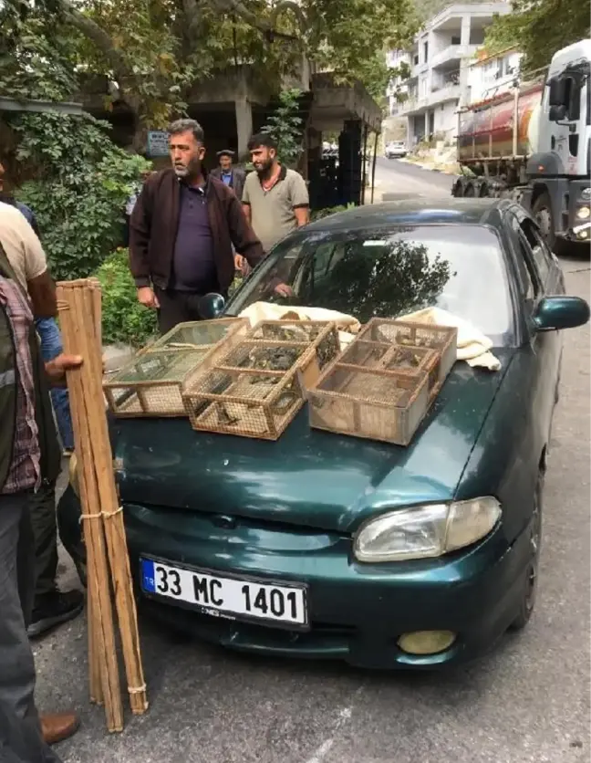 Erdemli'de Tuzak Kurarak Saka Kuşu Avlayanlara Yüksek Cezalar