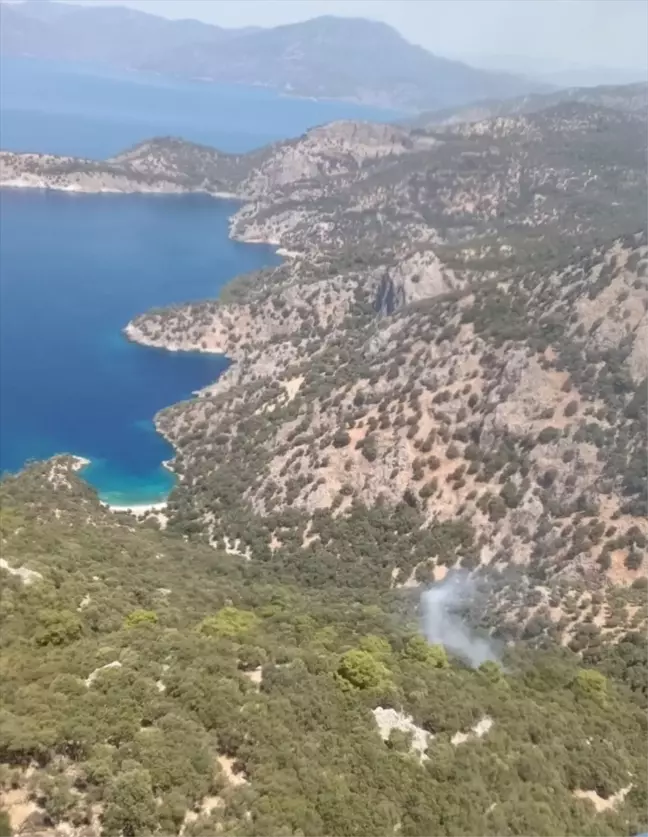 Muğla'da Orman Yangınına Havadan ve Karadan Müdahale