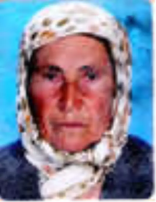 Zeytin Toplarken Sırra Kadem Basan Annesini 70 Gündür Arıyor