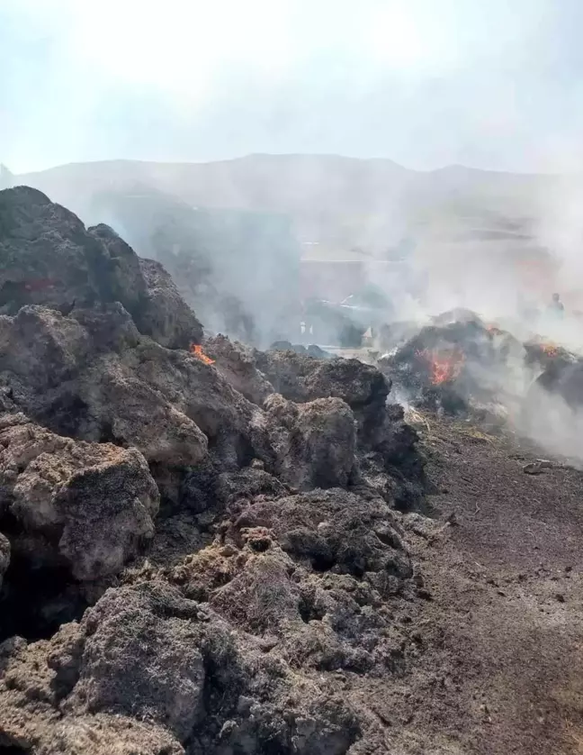 Van haberi... Gürpınar'da ot ve samanlar küle döndü