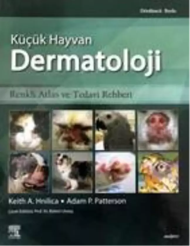 ADÜ'lü öğretim üyesinin çevirisini yaptığı kitap yayınlandı
