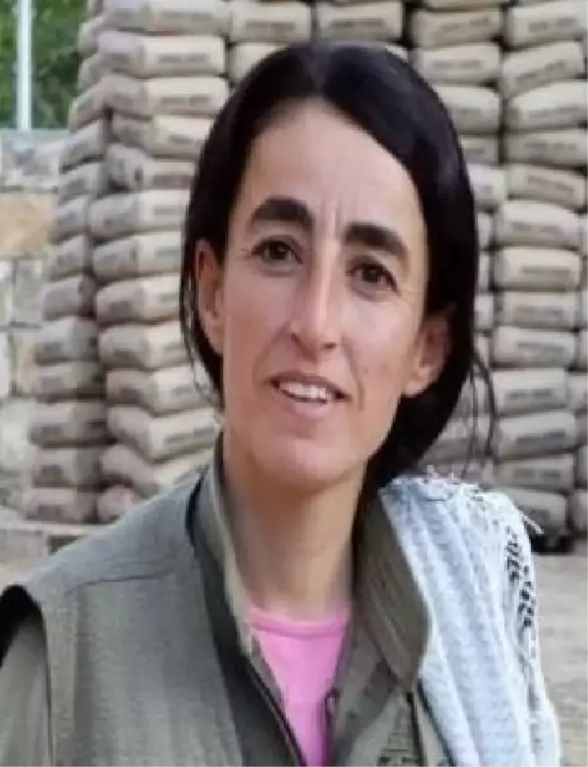 Son dakika... Mardin'de etkisiz hale getirilen 6 teröristten birinin