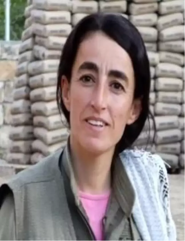 Yeşil kategoride aranan terörist Mardin'de etkisiz hale getirildi