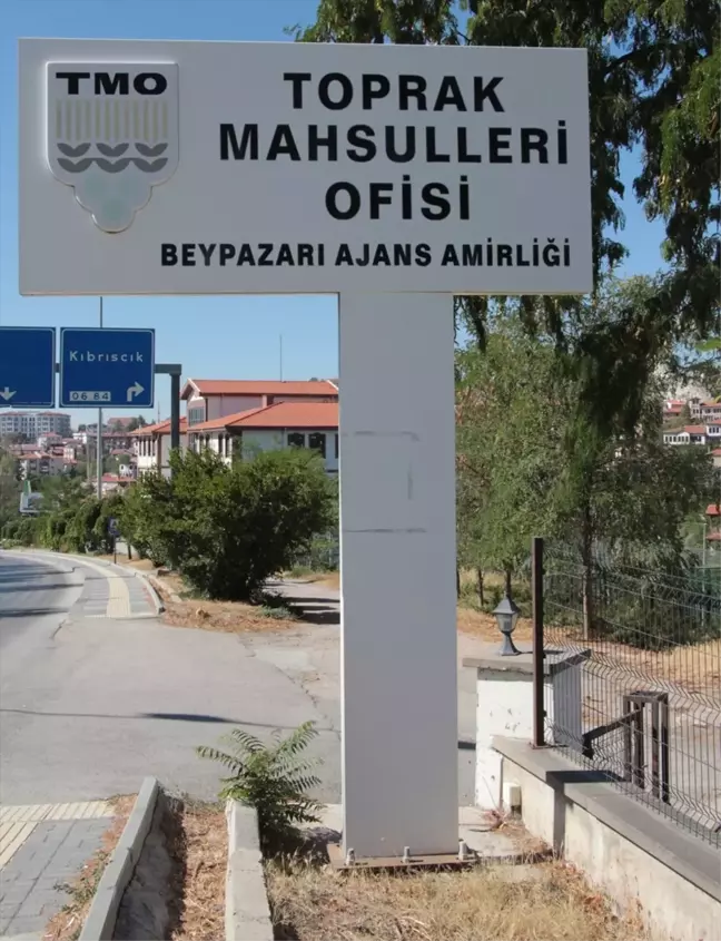 Beypazarı'nda TMO 100 Bin Ton Hububat Alımı Gerçekleştirdi