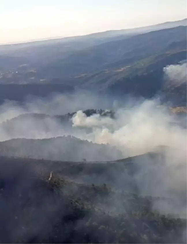 Manisa Gördes'te Orman Yangınlarına Müdahale Sürüyor