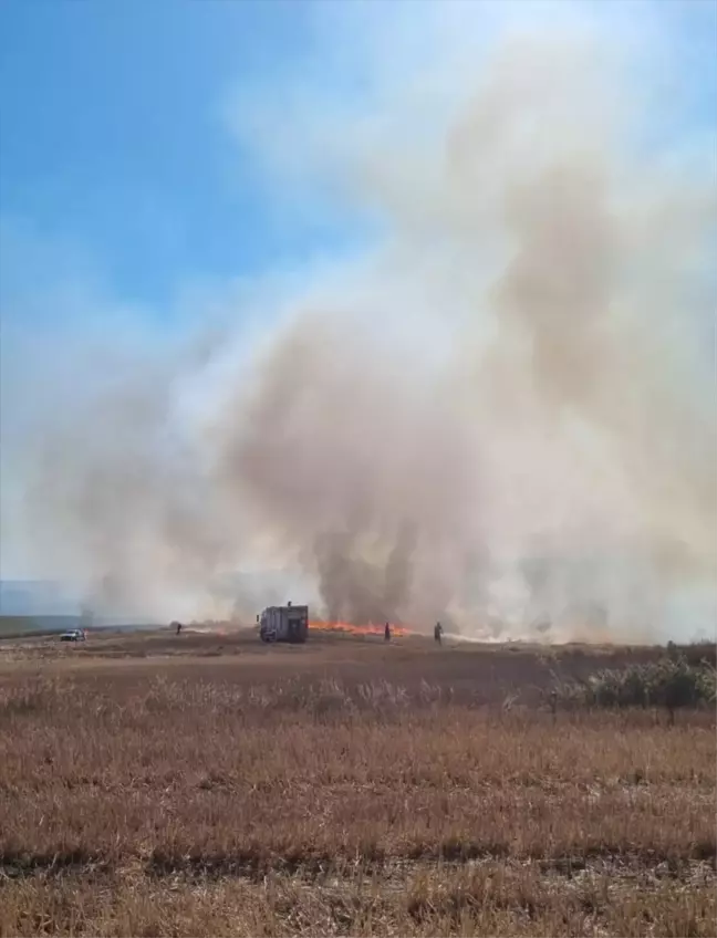 Çorlu'da çıkan yangın piknik alanını ve tarım arazilerini etkiledi