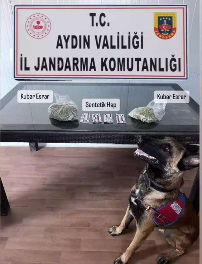 Söke'de Yolcu Otobüsünde Uyuşturucu Yakalandı