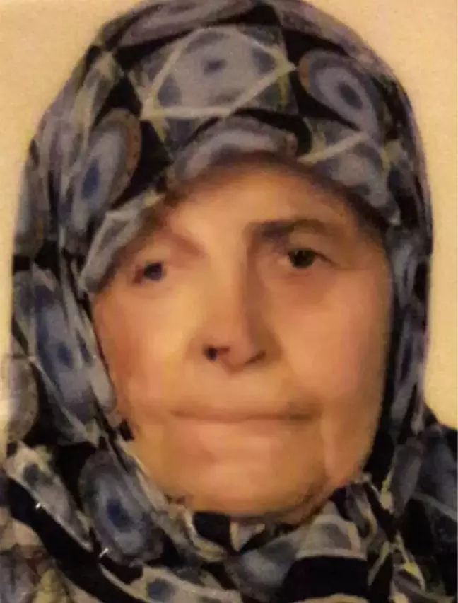 Kamyonetin Çarptığı Yaşlı Kadın Hayatını Kaybetti