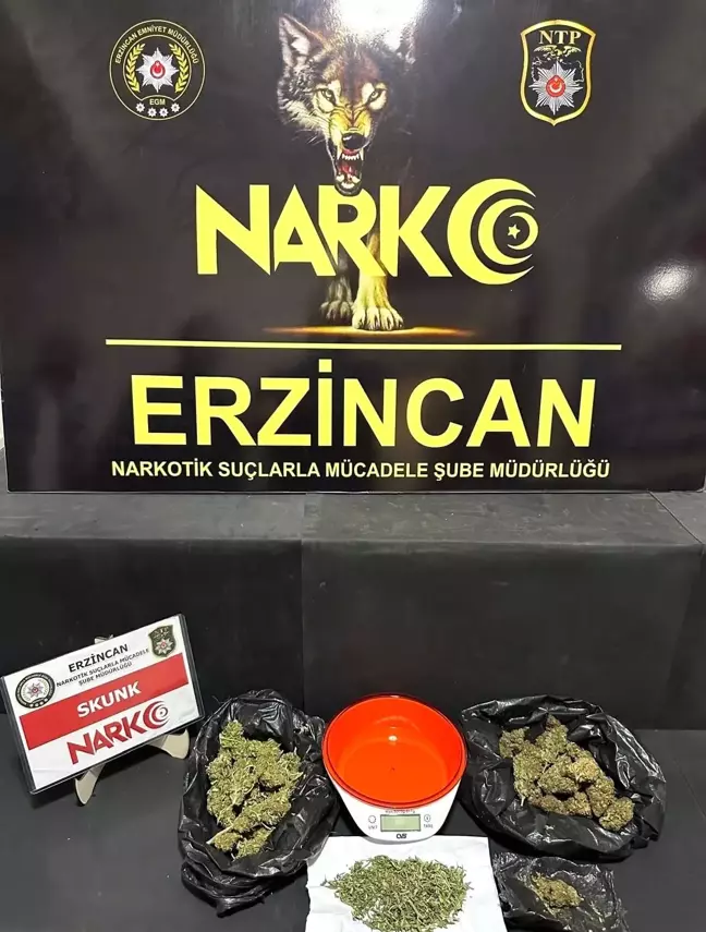 Erzincan'da 169,86 gram skunk ele geçirildi, 1 kişi gözaltına alındı