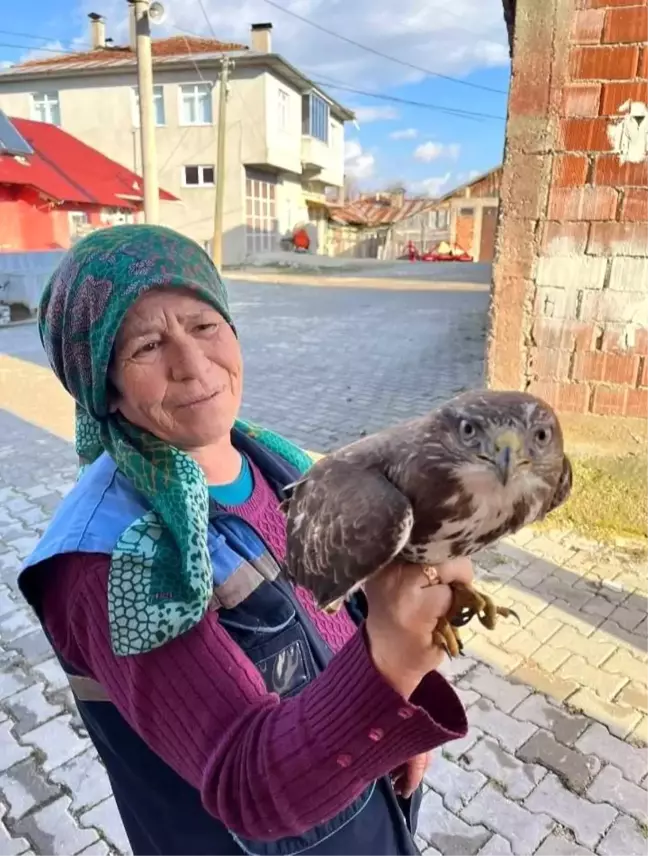 Kastamonu'da Yaralı Şahin'e Köylülerden Destek