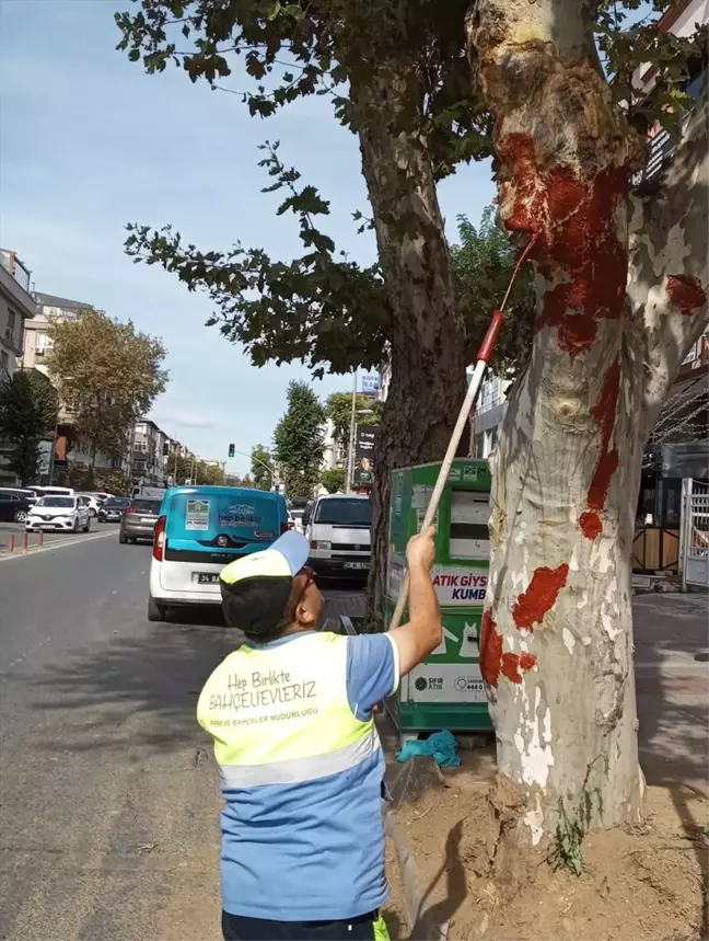 İETT Otobüsü Çınar Ağacına Çarptı, Bahçelievler Belediyesi Müdahale Etti