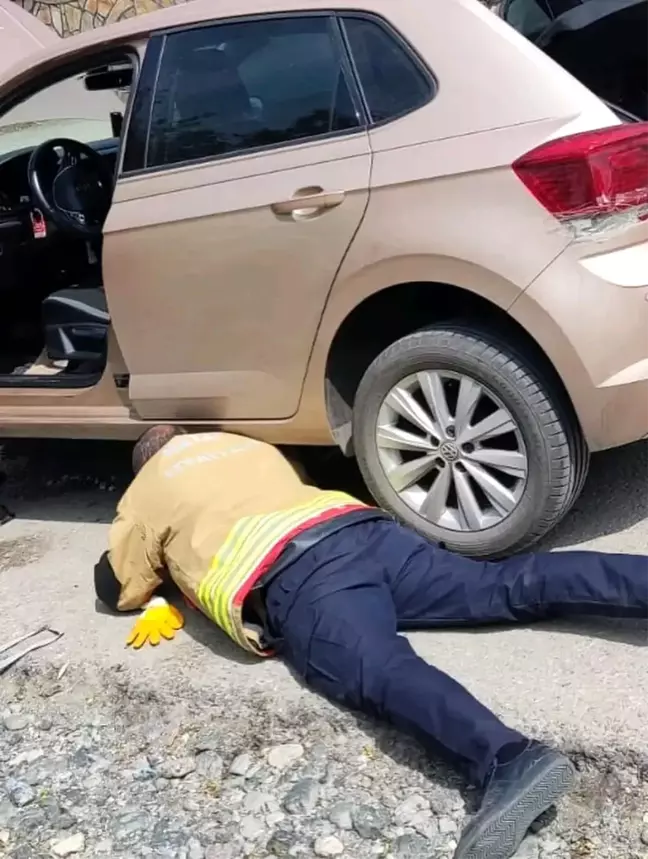 Hatay'da Aracın Kaputuna Sıkışan Yavru Kedi Kurtarıldı
