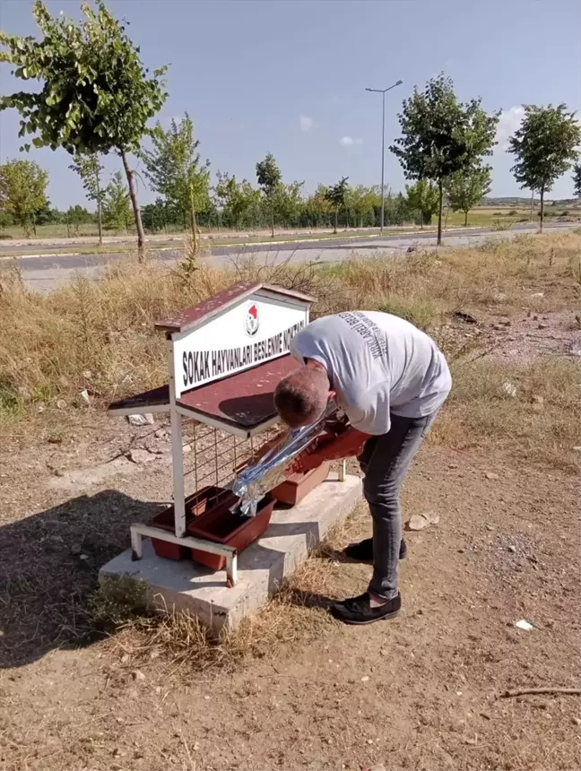 Kırklareli'nde sahipsiz hayvanlara su ve mama takviyesi yapıldı