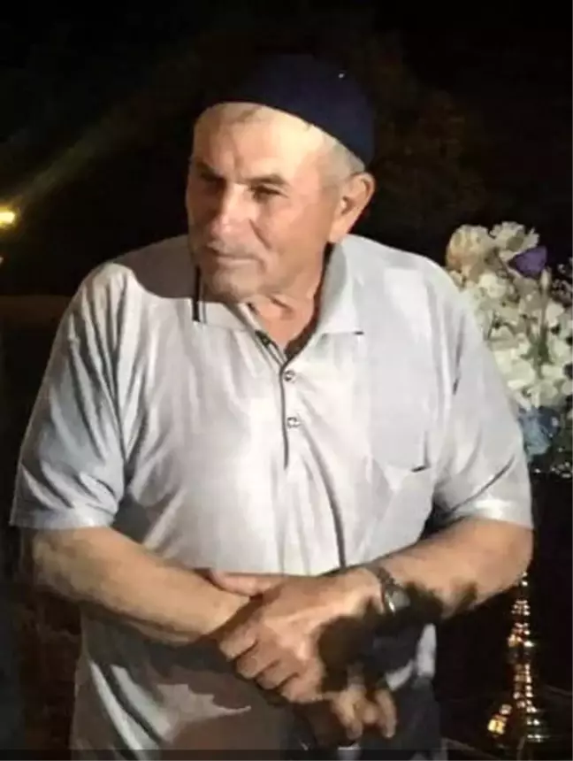 Kütahya'da Kavak Ağacı Kazası: Yaşlı Adam Hayatını Kaybetti