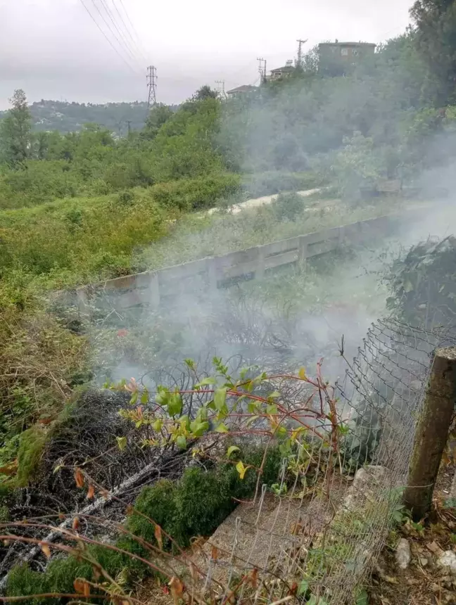 Zonguldak'ta Kozlu ilçesinde çıkan anız yangını söndürüldü