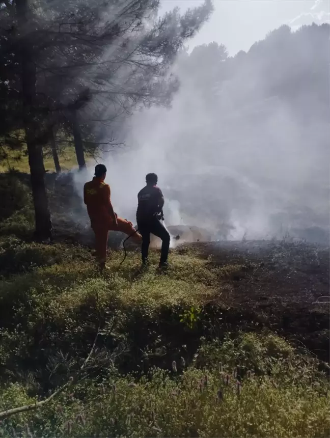 Bingöl'ün Genç ilçesinde ormanlık alanda çıkan örtü yangını söndürüldü