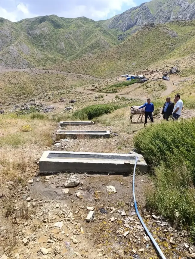 Siirt Şirvan'da Mera Islah Çalışmaları Devam Ediyor