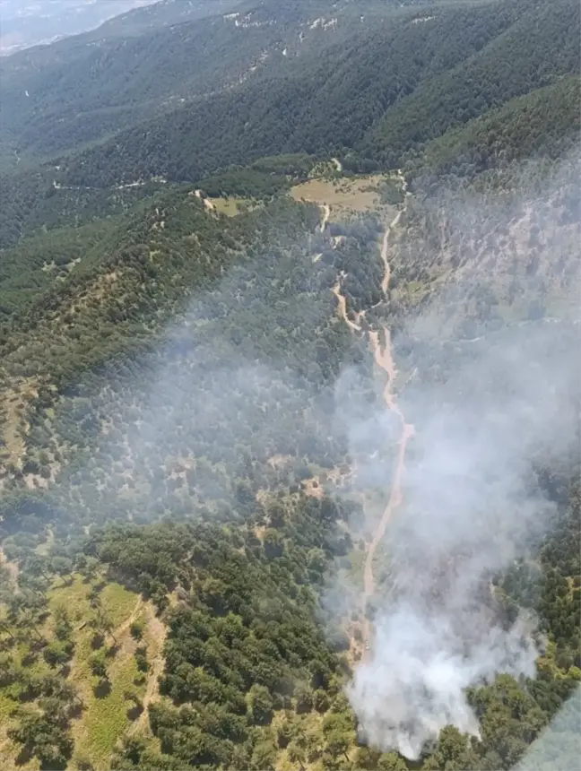 Balıkesir İvrindi'de Orman Yangını Çıktı