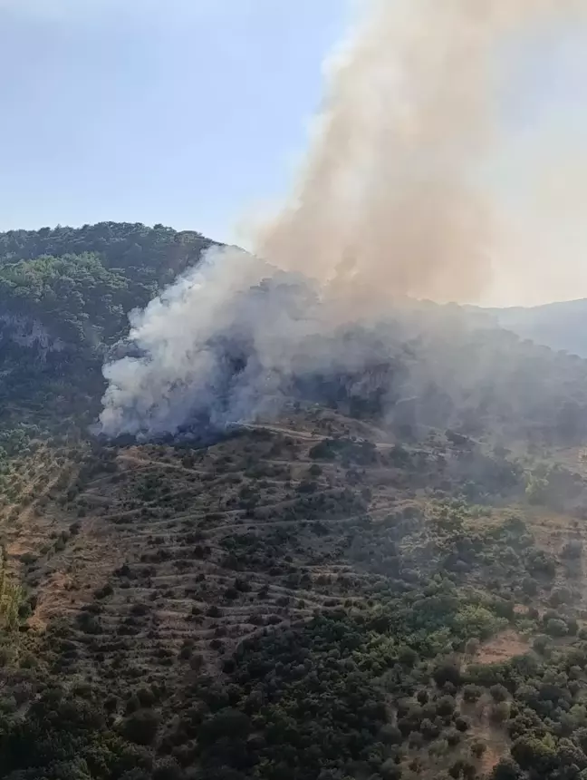 Çanakkale'de Orman Yangınına Havadan ve Karadan Müdahale