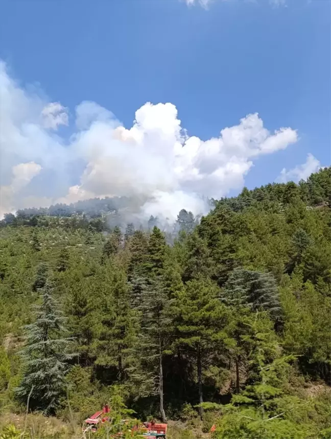 Burdur'un Bucak ilçesinde çıkan orman yangını söndürüldü