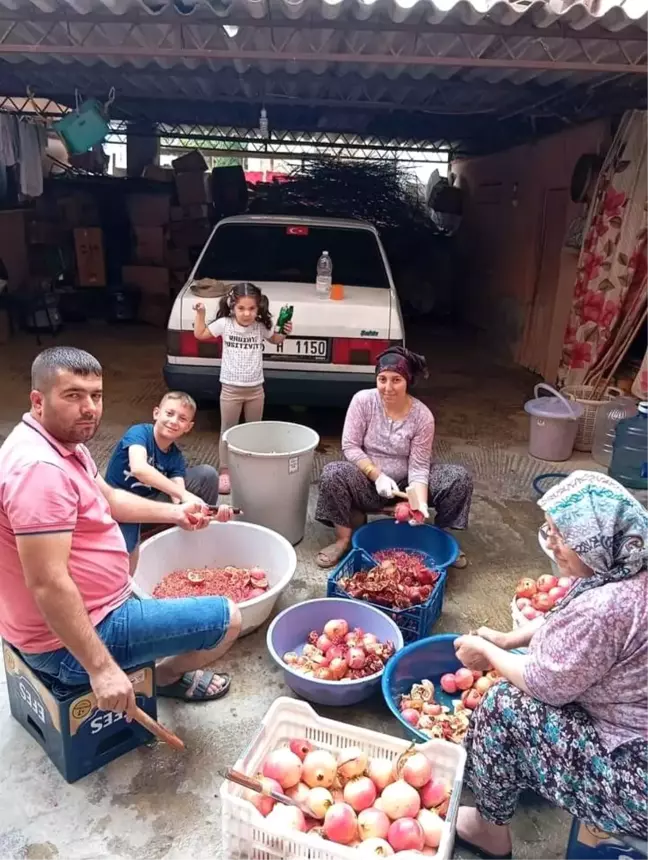 Manisa'da Nar Ekşisi Üretimi Başladı